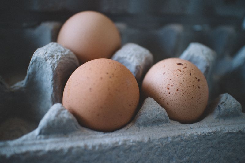 Œufs dans leur boîte